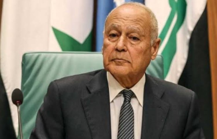 الأمين العام للجامعة العربية يلتقي وزير خارجية نيوزيلندا