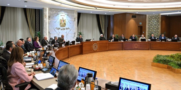 مجلس الوزراء: 10 آلاف جنيه لقنطار القطن متوسط التيلة..و12 ألف لطويل التيلة