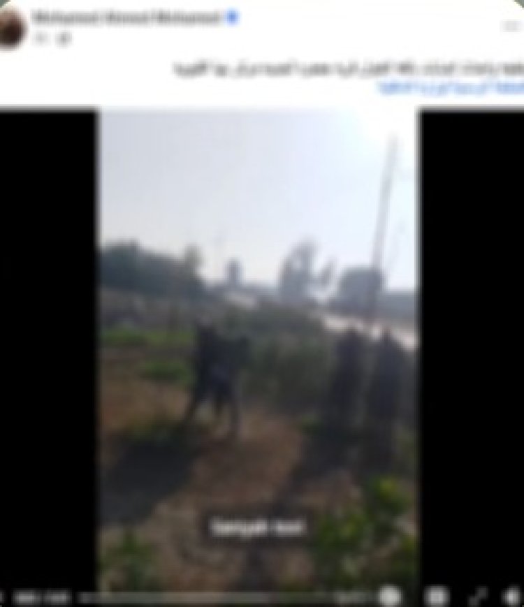 كشف ملابسات فيديو "مشاجرة بنها".. خلاف على قطعة أرض وراء الواقعة 