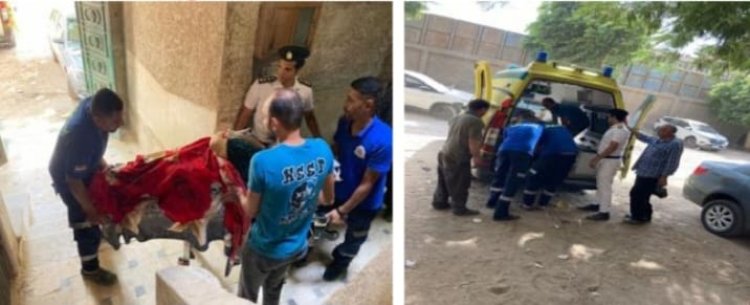 أمن القاهرة ينقل سيدة غير قادرة على الخركة للمستشفى بدار السلام 
