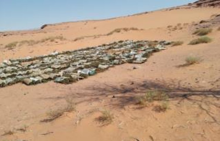ضبط بؤرة إجرامية شديدة الخطورة بالسويس بحوزتها أكثر من 2.5 طن مخدرات بقيمة 180 مليون جنيه