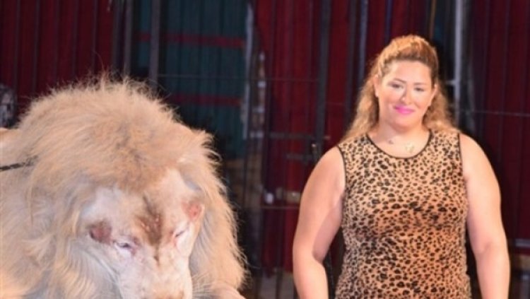 بعد إخلاء سبيل لوبا الحلو بكفالة 20 ألف جنيه.. تفاصيل جديدة في واقعة هجوم شبل بالسيرك القومي