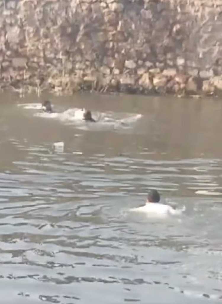 “وجود ضحايا”…سقوط سيارة ميكروباص في  ترعة المريوطية بمنطقة البدرشين