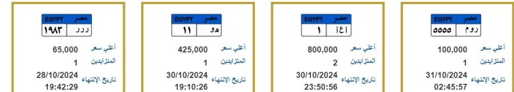 بمليون جنيه.. لوحات معدنية مميزة جديدة تدخل المنافسة