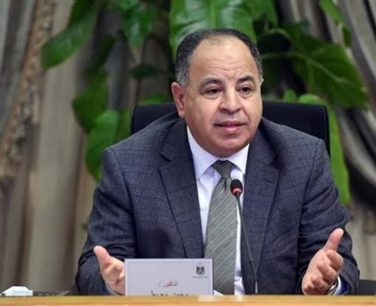 وزير المالية يبحث التعاون مع شركة «هندوجا الهندية» لتوطين صناعة السيارات الكهربائية