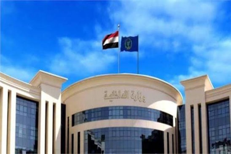 الأنتربول يضبط أجنبيًا هاربًا ويسلمه لمصر  تنفيذًا لحكم قضائي لصالح سيدة
