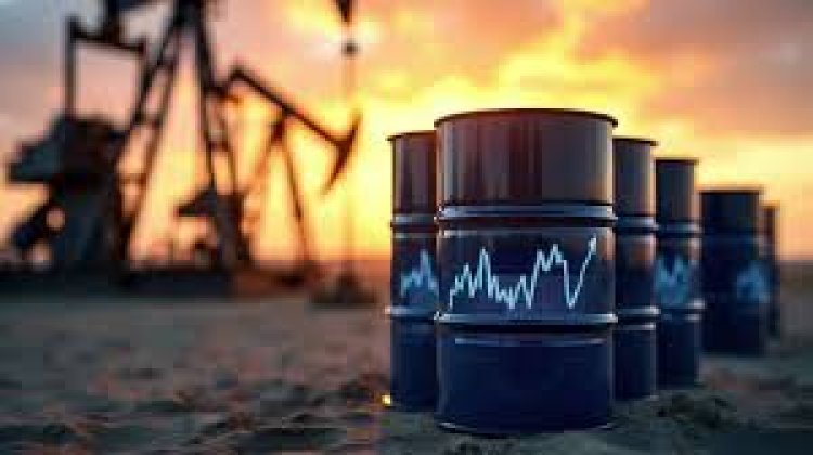 في ظل الأزمة الأمريكية الفنزويلية.. مصر تبرز كطرف داعم للتهدئة وحل الأزمة