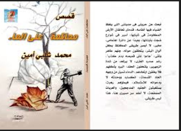 نقابة الصحفيين تنظم ندوةً لمناقشة المجموعة القصصية «محاكمة على الماء».. الأحد 22 سبتمبر