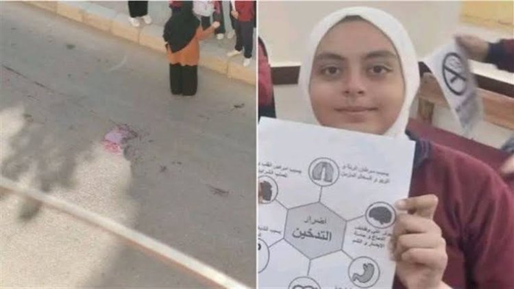 الحبس عام وغرامة 5 آلاف جنيه للمتهمة بدهـ.ـس الطالبة جنى أمام مدرسة في الشروق