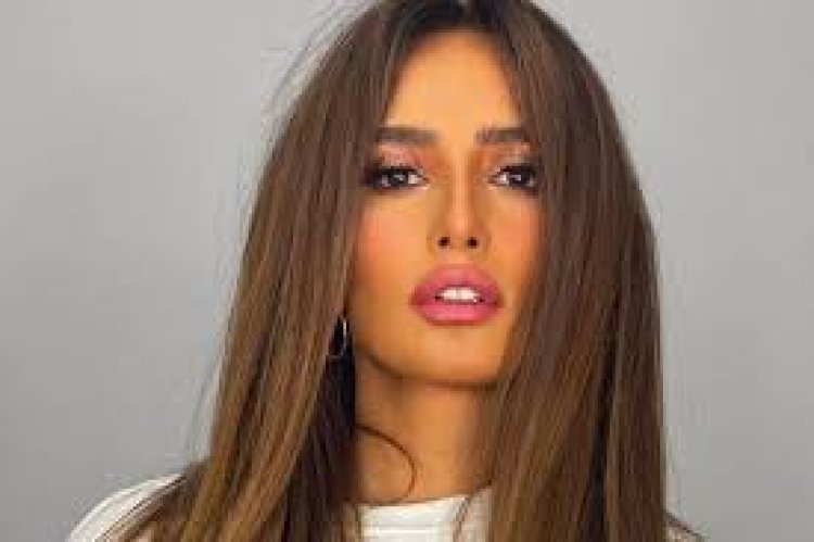 رجل أعمال يتهم الفنانة زينة بمحاولة دهـس نجله في الشيخ زايد