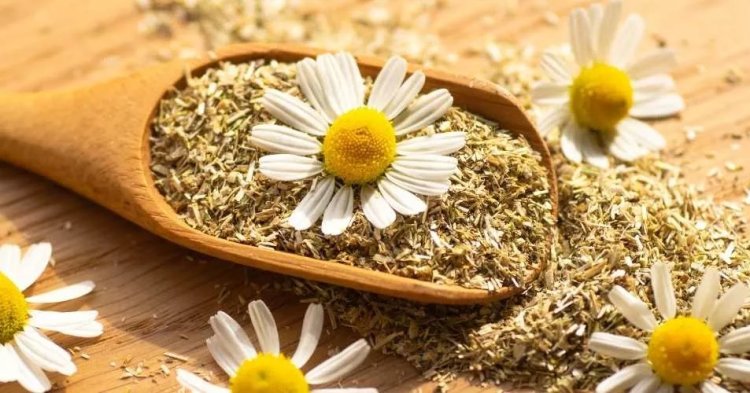 مشروب من العصور القديمة مضاد قوي للأكسدة