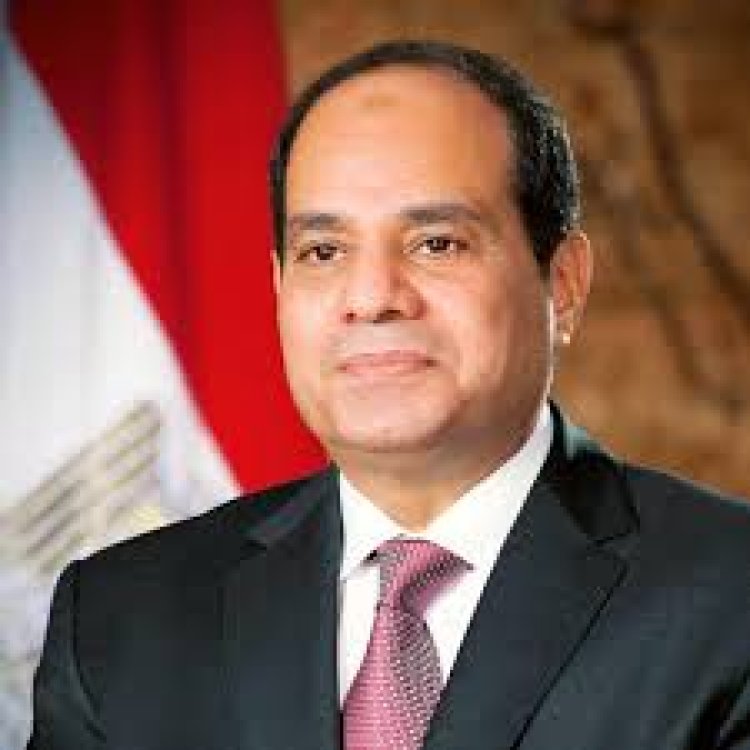 الرئيس السيسي يتابع الجهود المكثفة للنهوص بالصناعة المصرية