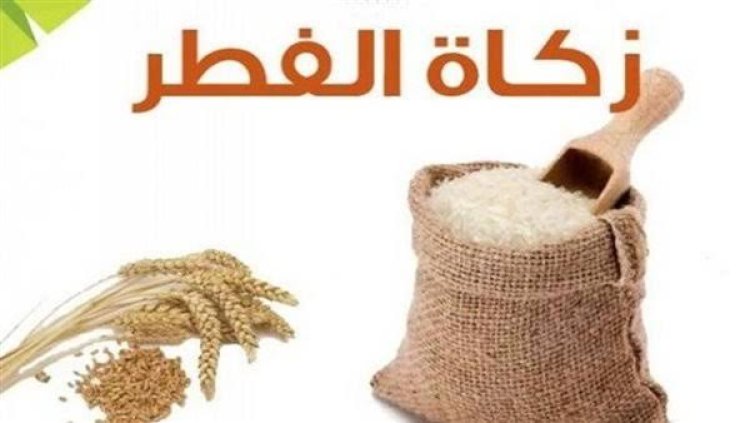 هل يجوز إعطاء زكاة الفطر لغير المصلّي؟.. أمين الفتوى يوضح