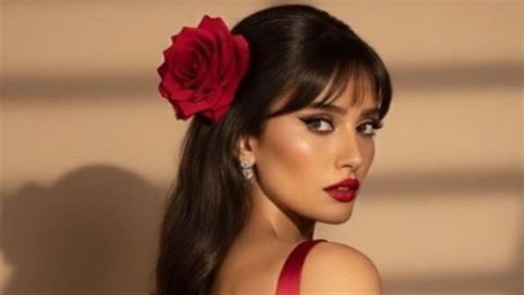 بمناسبة Valentine’s أنا بحبكم أوي ويارب اللي يزعلني يموت.. زينة تحتفل بعيد الحب برسالة ساخرة