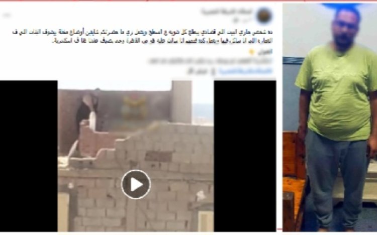 الداخلية تضبط عاطلاً بالإسكندرية بعد فيديو "أفعال خادشة للحياء" أعلى سطح عقار بالعامرية