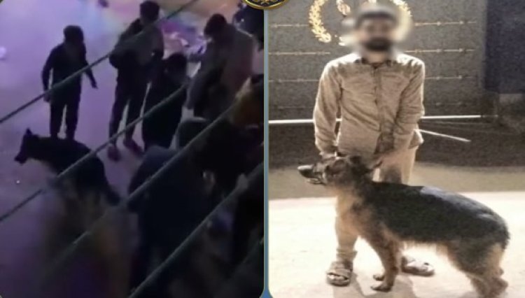 كشف لغز فيديو "ترويع المسنين" بالأسكندرية.. الأمن يضبط المتهم والكلب "غير المرخص"