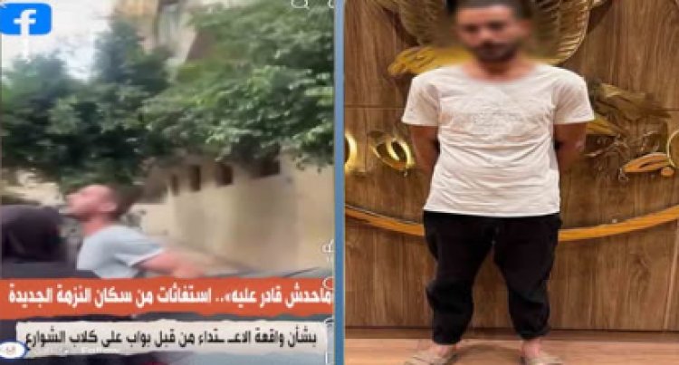 بسبب عقر نجل شقيقه.. ضبط حارس عقار تعدى على كلاب ضالة بالنزهة بعد مشادة مع الأهالي