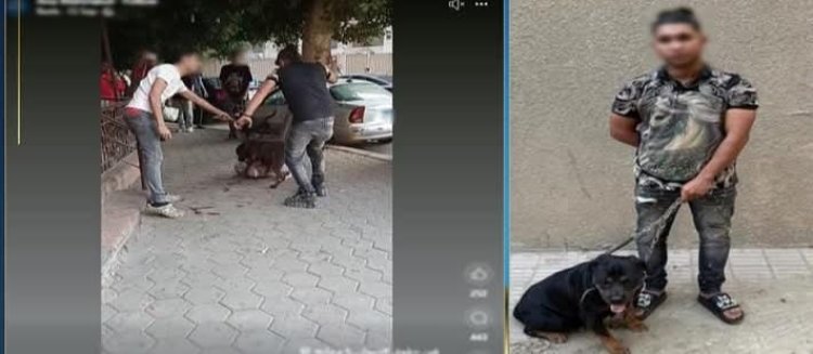 ضبط المتهم في واقعة تعدي كلب على آخر بالجيزة