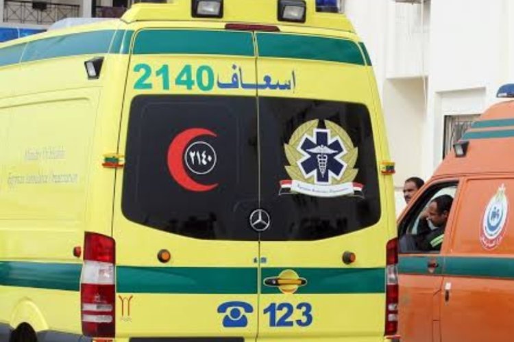 سباك يقتل مسنة لسرقة هاتف محمول داخل شقتها في حدائق القبة 