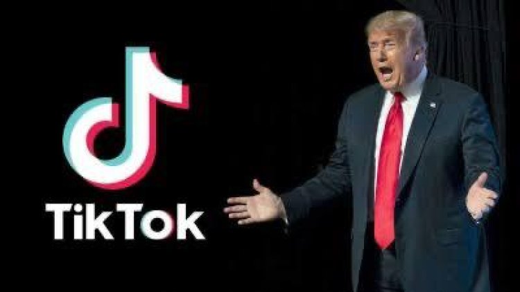 فعلها ترامب.. أمريكا تشترى تطبيق TikTok بـ 14 مليار دولار فقط