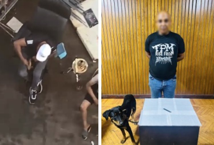 ضبط بائع خردة بالإسكندرية تعدى على كلب بسلاح أبيض فيديو متداول.. والتحفظ على الحيوان والسلاح
