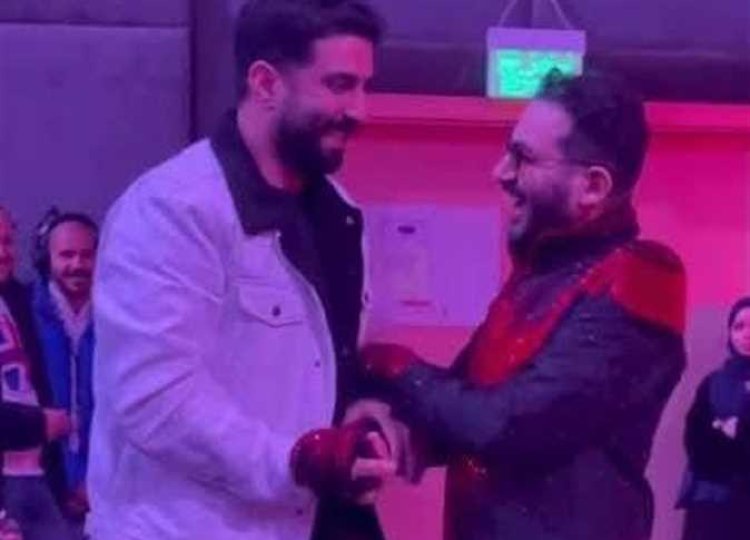 اتهامات بالإساءة للمصريين.. تفاصيل الهجوم على أحمد حلمي