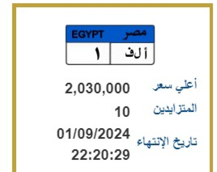 من 300 ألف لـ 2 مليون جنيه.. أسعار اللوحات المعدنية المميزة 