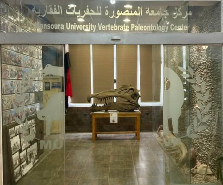 عاش قبل 80 مليون عام.. جامعة المنصورة تكتشف "تمساح الوادي" أقدم التماسيح البحرية في التاريخ