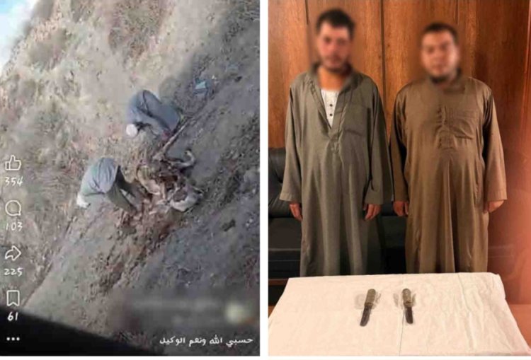 الأمن يكشف ملابسات فيديو سلخ "حمار نافق" بالبحيرة.. وضبط عاملين استخدما الجلد في صناعة الطبول