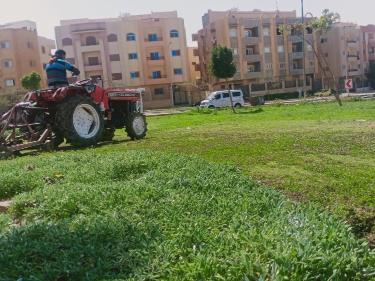 استكمال أعمال صيانة المسطحات الخضراء والأشجار بمدن الشيخ زايد والشروق ودمياط الجديدة