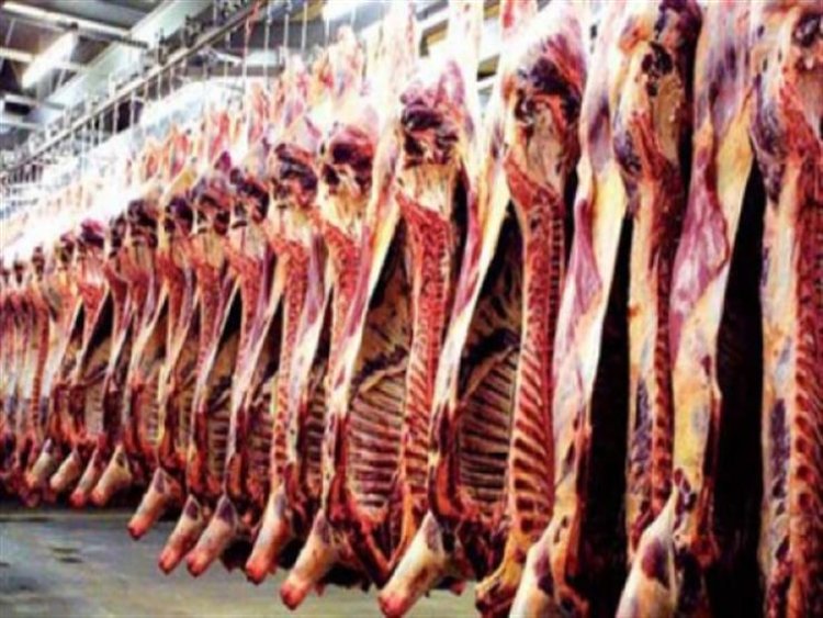 انطلاق مبادرة جديدة لتوزيع أكبر كمية من اللحوم على الأسر الأولى بالرعاية في أسوان