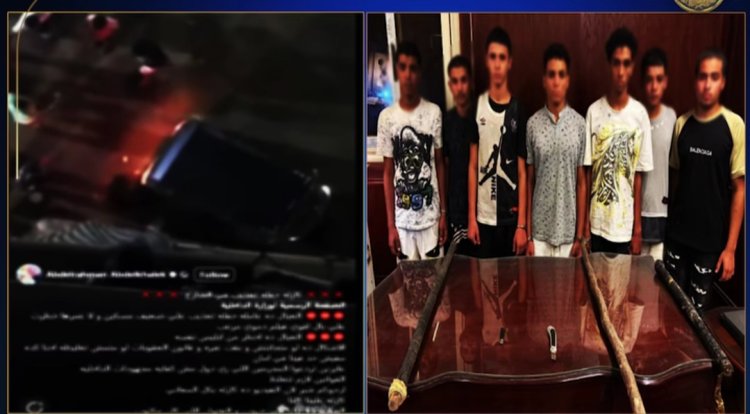 القبض على المتهمين بواقعة التعدي على كلب وقتله بالمعادي