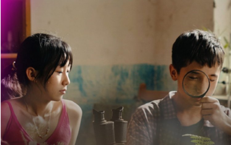 "عالم النبات" يفوز بجائزة أفضل فيلم آسيوي طويل في مهرجان القاهرة السينمائي الدولي الـ46