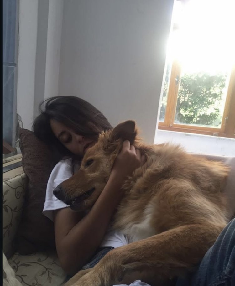 مريم الخشت تودّع كلبها برسالة مؤثرة: “وداعًا ابني الأول.. بحبك”