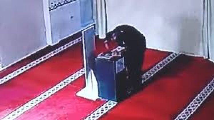 لص يسرق صندوق تبرعات من داخل مسجد في نهار رمضان بمنطقة شبين القناطر
