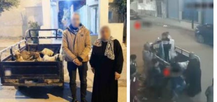 كشف لغز جوال الكلاب.. الداخلية تضبط سيدة وسائق تروسيكل بالإسكندرية