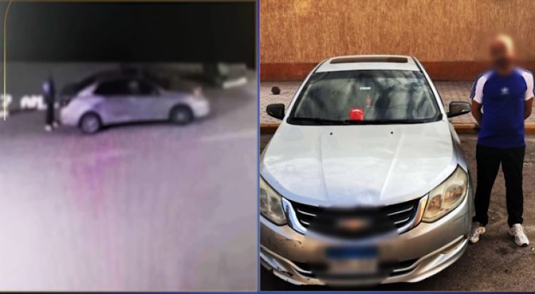 "عياله بيخافوا منهم".. ضبط سائق ظهر فى فيديو أثناء وضعه طعام مسمم للكلاب الضالة بحدائق الأهرام 