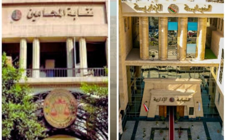 النيابة الإدارية تباشر الإشراف القضائي على المرحلة الثانية لانتخابات نقابات المحامين الفرعية بـ ١٠ محافظات