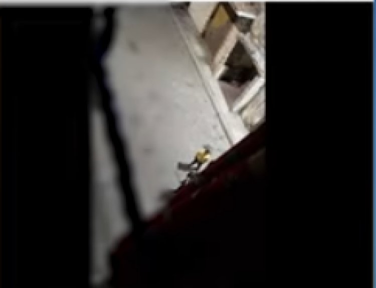 كشف ملابسات فيديو التعدي على سيدة بالسب والضرب بالإسكندرية 