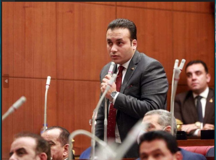 النائب عمرو فهمي: ثورة 30 يونيو نجحت بوحدة وتماسك المصريين