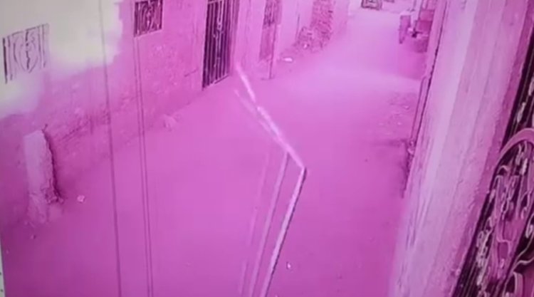 بسبب "شراء منزل".. الداخلية تكشف تفاصيل فيديو تعدي شرطي على جاره وتحطيم كاميرات بالقليوبية