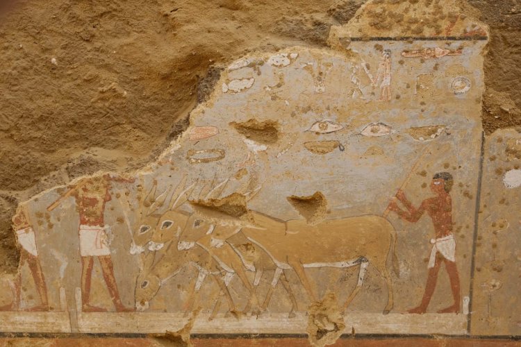 البعثة المصرية الألمانية تكتشف مصطبة أثرية في دهشور