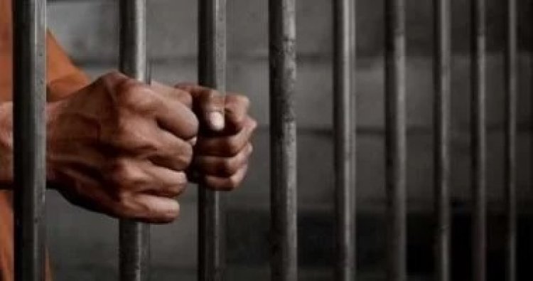 تأييد سجن سائق التريلا المتسبّب في مصرع فتيات كفر السنابسة بالمنوفية 15 عامًا