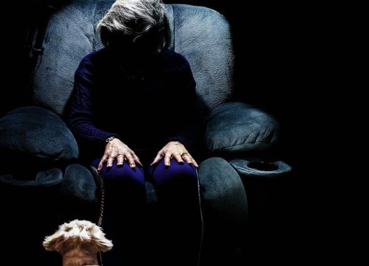 امرأة تتبرع بـ 2.8 مليون دولار لحيواناتها الأليفة وتتجاهل أولادها .. ما القصة؟