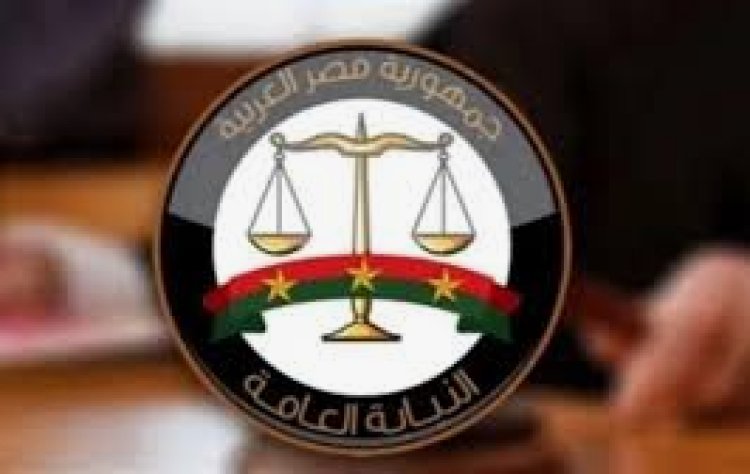 إحالة 31  متهمًا إلى محكمة الجنح  بواقعتي تعريض أطفال مدرستين للخطر بمدرستي سيدز  والإسكندرية الدولية للغات للخطر