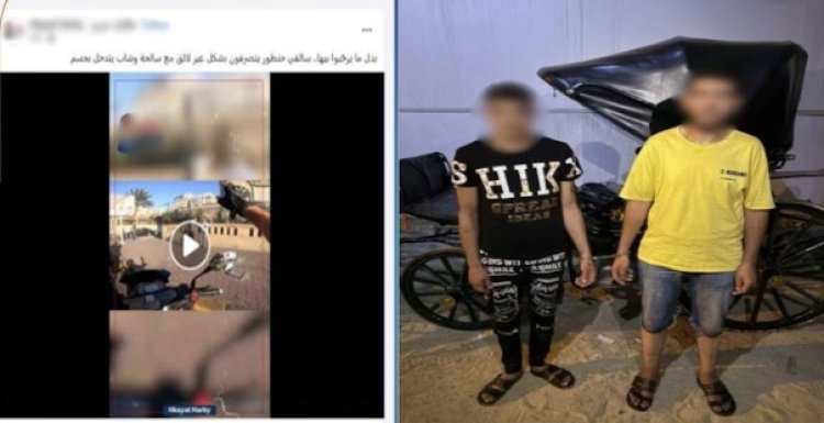 القبض على سائق حنطور وصديقه حاولا إجبار سائحة على ركوب العربة فى الإسكندرية 