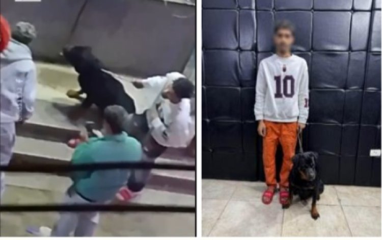 بدافع اللهو".. كشف ملابسات فيديو ترهيب المواطنين بـ "كلب" في مدينة نصر والقبض على المتهم