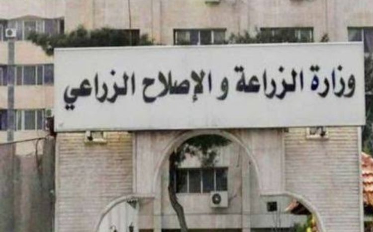 «الزراعة»: الفرق الإرشادية الريفية تتابع المحاصيل الاستراتيجية في شمال سيناء