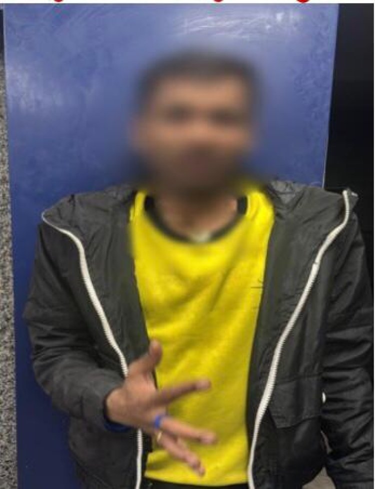 الداخلية تضبط صانع محتوى لأداء حركات استعراضية في حدائق القبة 