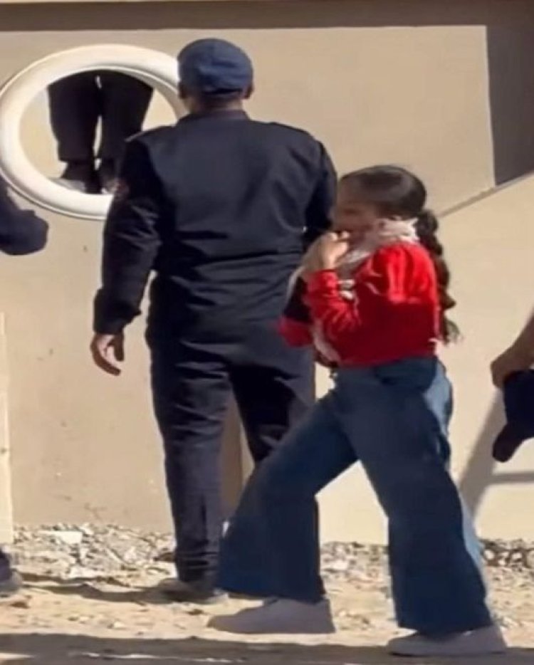 إنقاذ قطة محتجزة بأحد العقارات في المنيا الجديدة